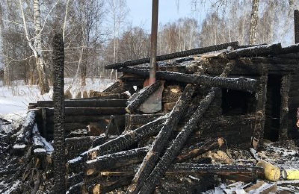 В первую неделю февраля в Тогучинском районе пожар привел к гибели человека