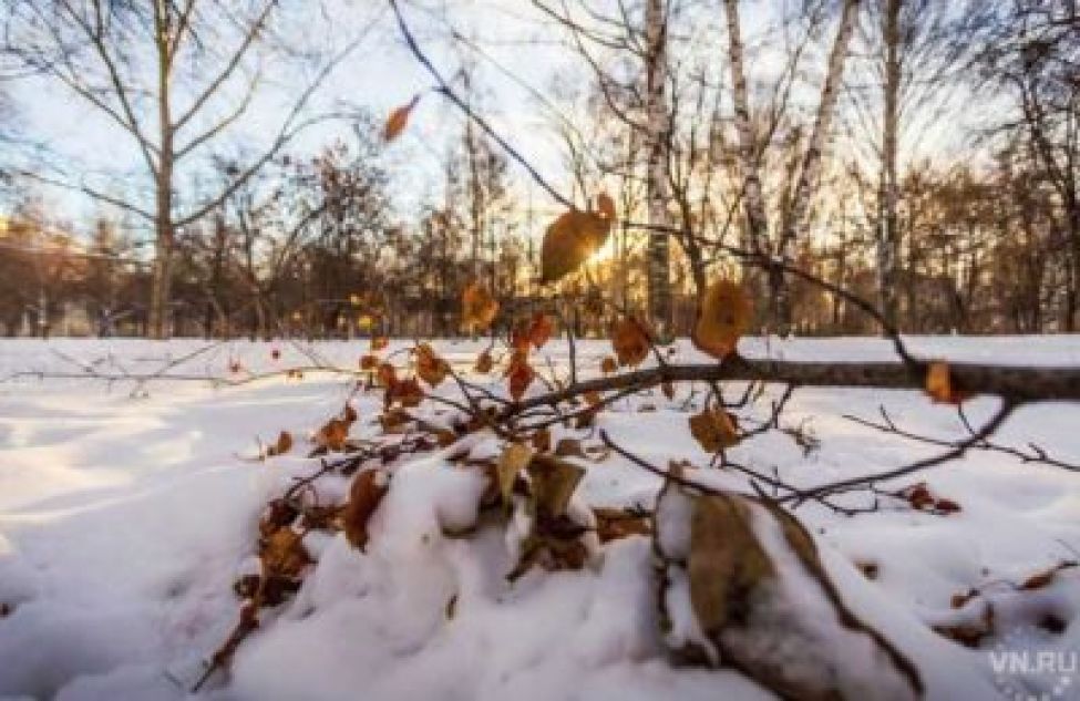 Весенние морозы подходят к концу: прогноз погоды в Новосибирске 14-21 марта
