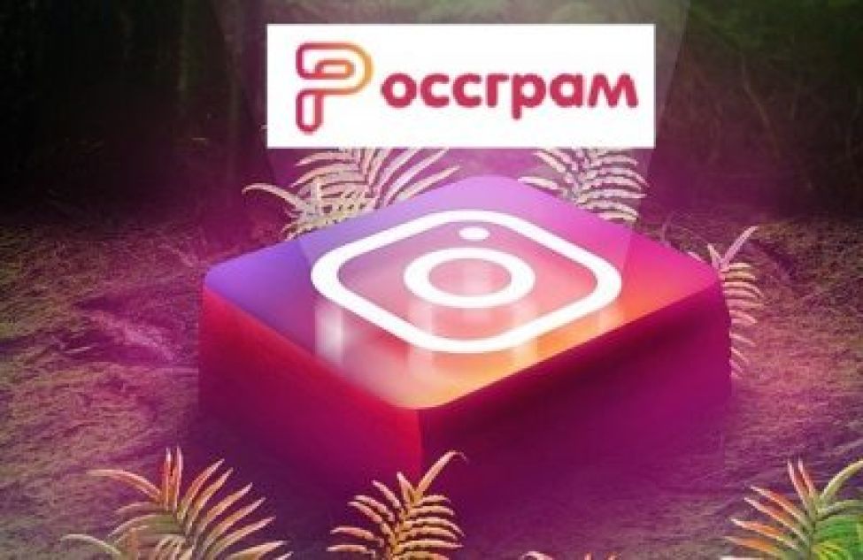 Разработчики «Россграма» перечислили основные отличия от соцсети Instagram