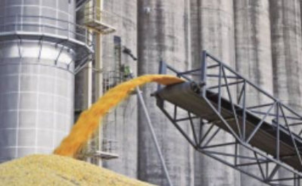Новосибирские экспортеры и зернотрейдеры пересмотрят направления поставок зерна