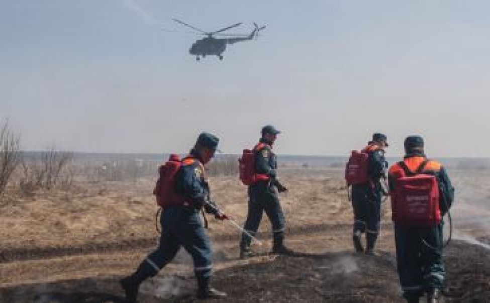 Противопожарное авиапатрулирование лесов усилено в Новосибирской области