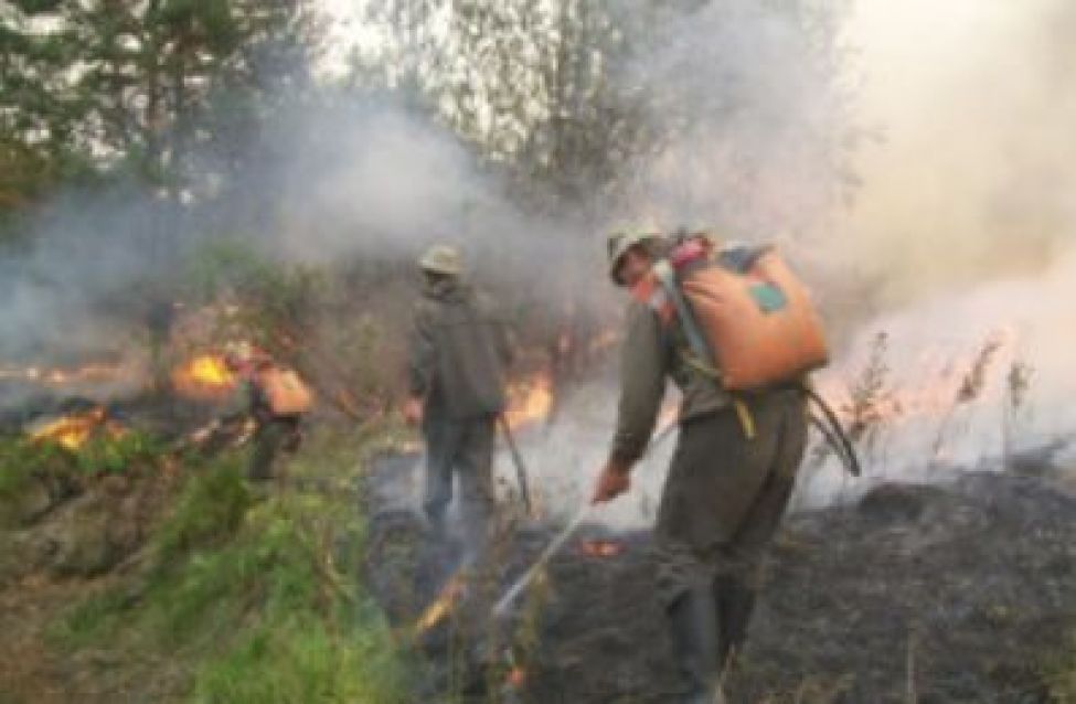 Более 800 человек оштрафованы за нарушение пожарной безопасности в регионе
