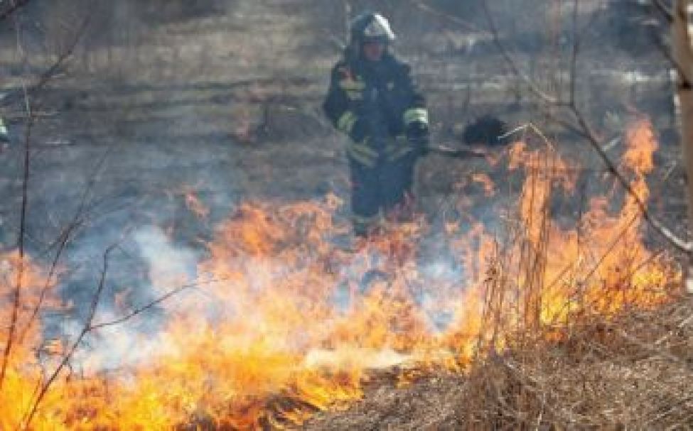 В пяти районах Новосибирской области возбуждены уголовные дела по фактам пожаров