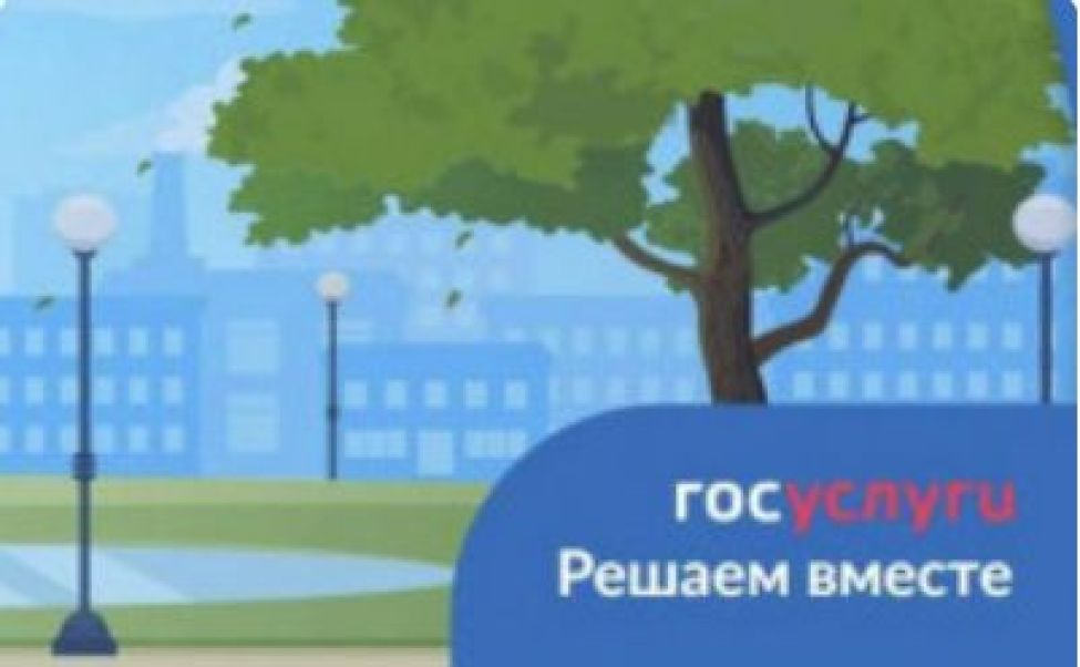 Более 49 тысяч обращений за полгода поступило от жителей Новосибирской области на платформу «Госуслуги. Решаем вместе»