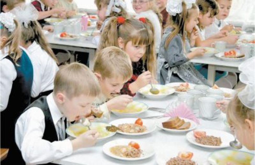 Нормативы школьного питания для льготников увеличат в Новосибирской области