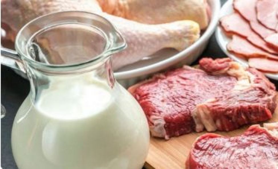 Больше молока и мяса в 2022 году: новые инвестпроекты в АПК увеличат производство продукции животноводства в регионе