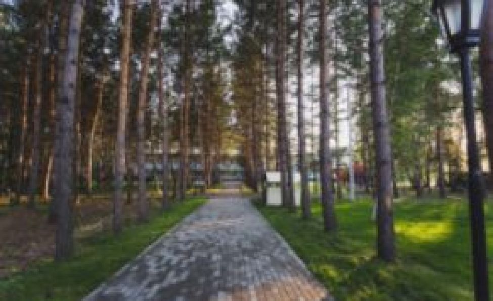 Более 10 санаториев и 30 отелей Новосибирской области участвуют в программе туристического кешбэка