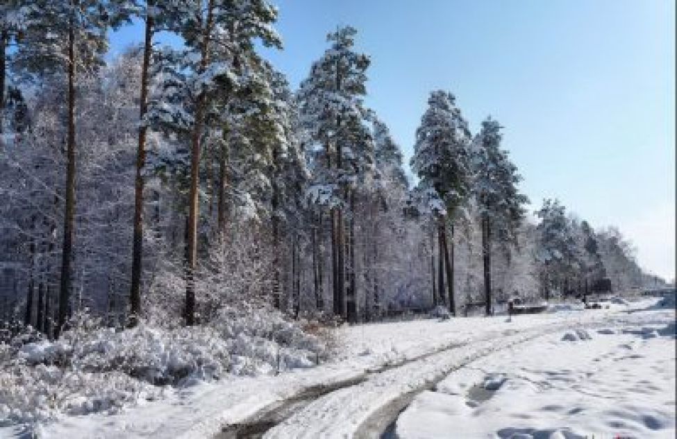 Мороз до -25°: назван предварительный прогноз погоды на март-2023 в Новосибирске