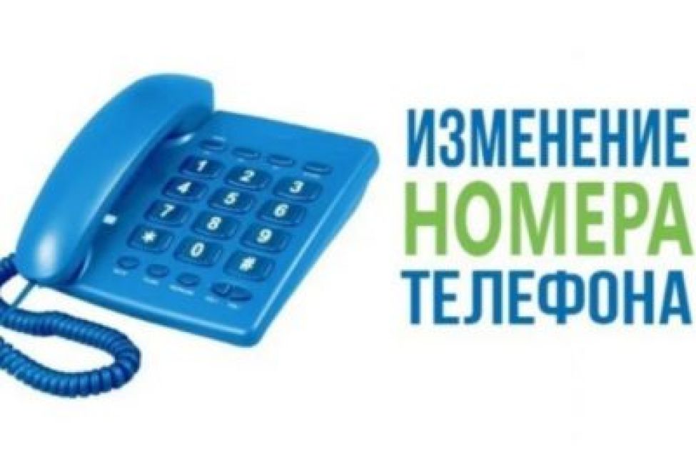 Изменится номер телефона горячей линии Минтруда и соцразвития Новосибирской области
