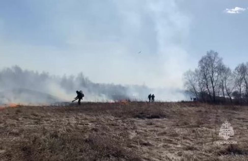 Пожары в Тогучинском районе