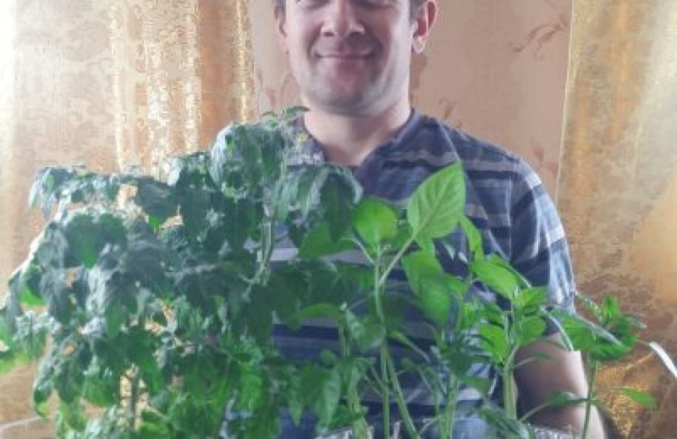 Владимир Микуров из села Степногутово на протяжении нескольких лет сам выращивает рассаду