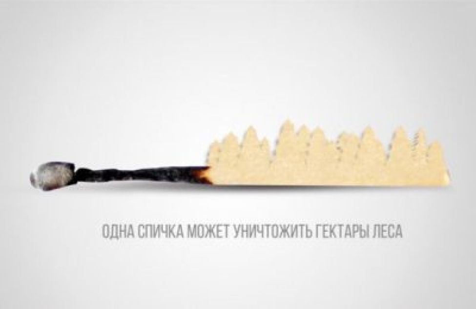 В Новосибирской области установлен пожароопасный сезон