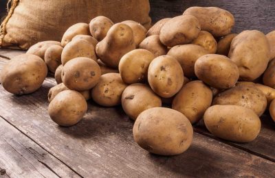 Готовим картофель к посадке: советы дают специалисты Россельхознадзора