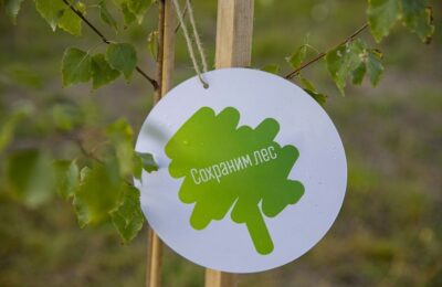 Уважаемые жители Тогучинского района! Приглашаем вас принять участие в экологической акции «Сохраним лес вместе». 