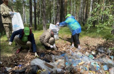 Пять километров береговой линии Новосибирского водохранилища очистили от мусора в Караканском бору по нацпроекту