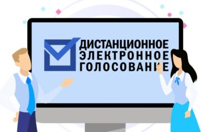 Систему дистанционного голосования протестируют в Новосибирской области
