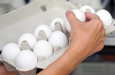 Цены на яйца стабилизируются: Россия обнулила пошлину на импорт куриных яиц