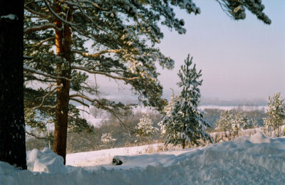 Первая декада февраля в Новосибирской области не будет морозной