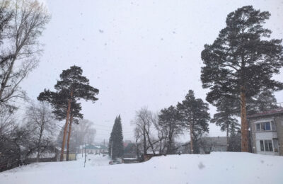 Снегопады и похолодание: какая погода будет в Новосибирске во вторую декаду марта?