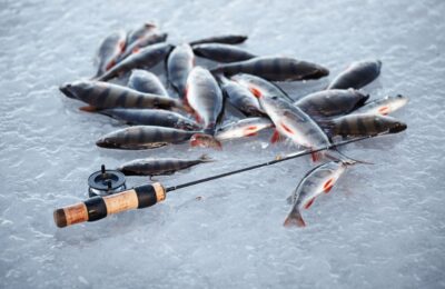 МОО «Тогучинское районное общество охотников и рыболовов» проводит соревнования по подледному лову рыбы