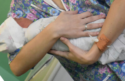 В Тогучинском районе в марте родилось в два раза больше мальчиков, чем девочек