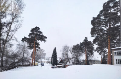 Первая декада марта в Новосибирске будет теплой
