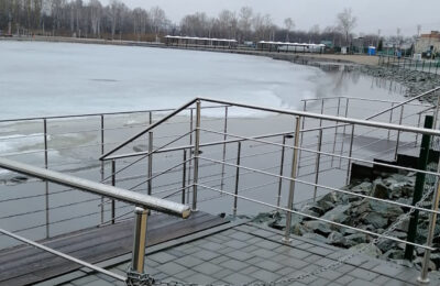 Белый амур останется в озере на Набережной в Тогучине