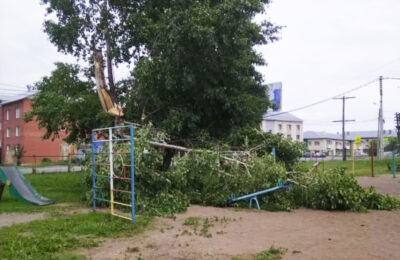В Тогучине дерево упало на детскую площадку