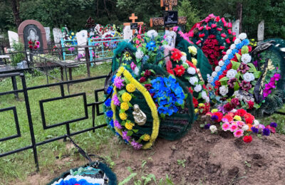 Свиньи-вандалы разгромили кладбище в Тогучинском районе