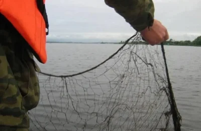 Житель Новосибирской области предстанет перед судом за незаконную рыбалку