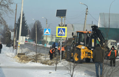 В Тогучине идет спил аварийных тополей