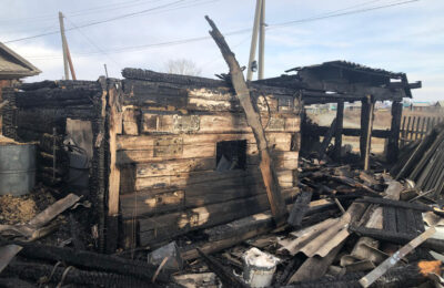 При пожаре в Тогучинском районе погиб человек