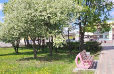 Жара возвращается в Новосибирскую область
