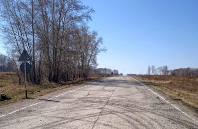 Дорогу к детскому лагерю отремонтируют в Новосибирской области по нацпроекту «Инфраструктура для жизни»