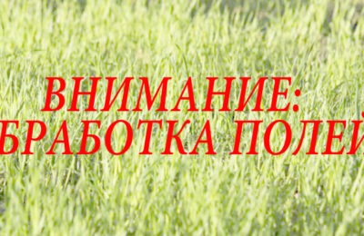 Химическая обработка рапса