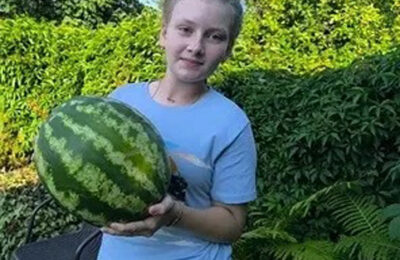 В Новосибирской области успешно прошёл региональный этап масштабного Всероссийского образовательного проекта «Малая Тимирязевка»